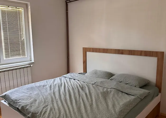 Cozy House